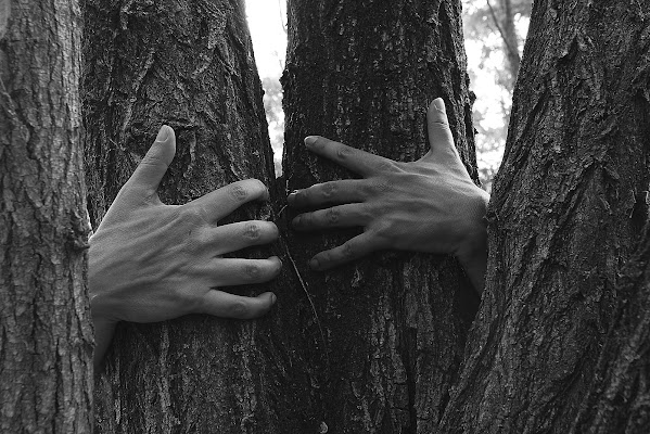 Aggrapparsi alla natura. di ToovTiliev