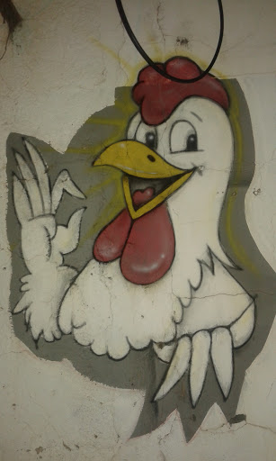 Pollito