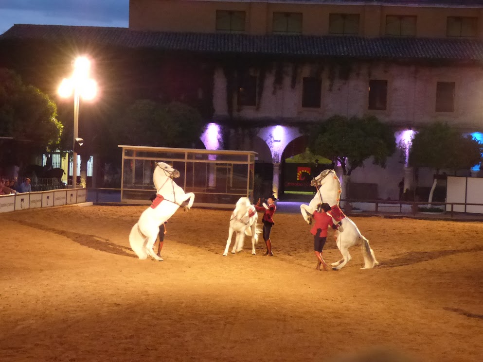 cordoue - spectacle des écuries royales