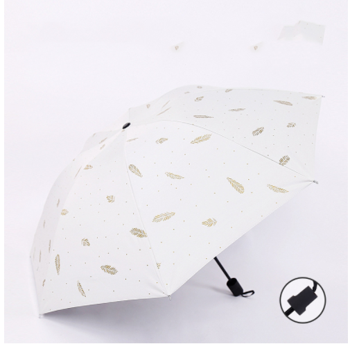 Title 6, Rain Or Shine Sunshade Vinyl Gift Umbrella Prov...