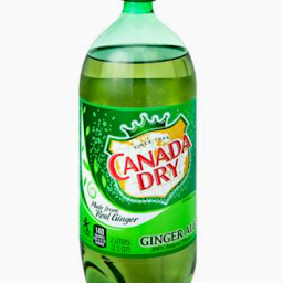 Ginger Ale 2L Bottle