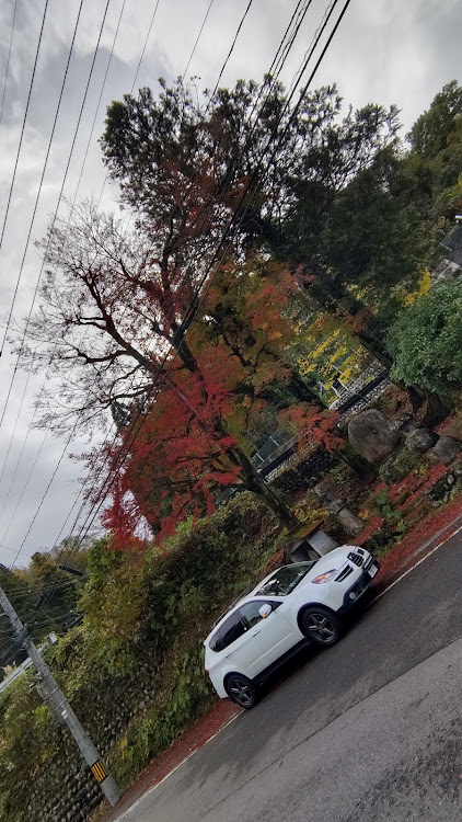 スバルその他の秋・紅葉狩り・USDM・スバリスト・希少車に関するカスタム事例の投稿画像2枚目