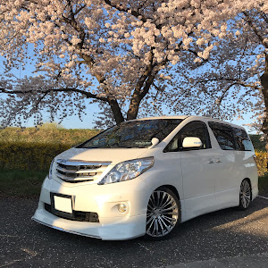 アルファード 20系