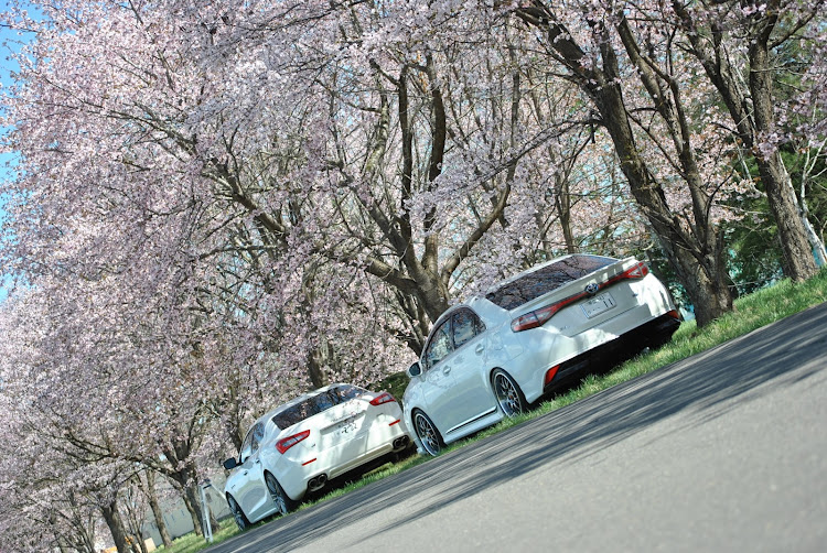 SAIの納車から現在までの愛車・ほぼノーマル・激動の半年・cartunefriendsに関するカスタム事例の投稿画像15枚目