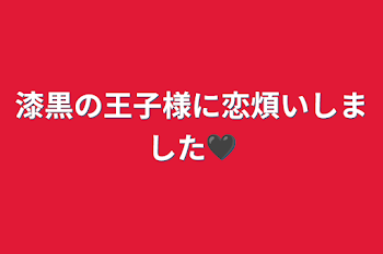 漆黒の王子様に恋煩いしました🖤