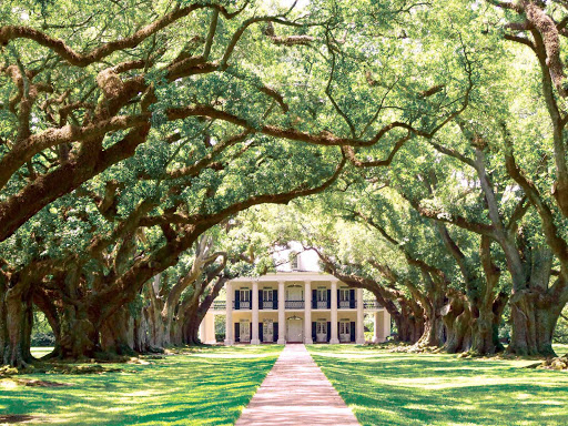 Oak Alley Plantation, a historic plantation  on the west bank of the Mississippi River in St. James Parish, Louisiana. See it on a river cruise.