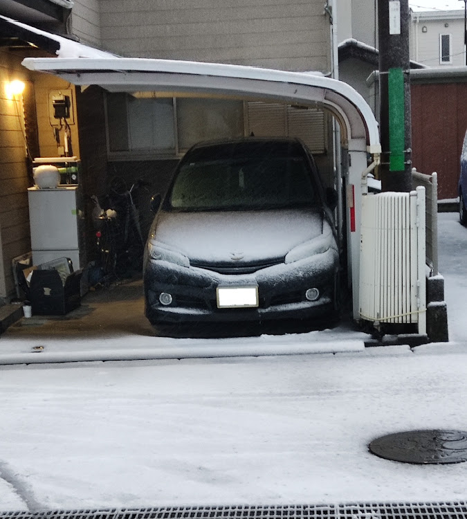 ウィッシュのウィッシュ20・アンダーイルミ・雪に関するカスタム事例の投稿画像1枚目