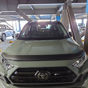 RAV4 MXAA54