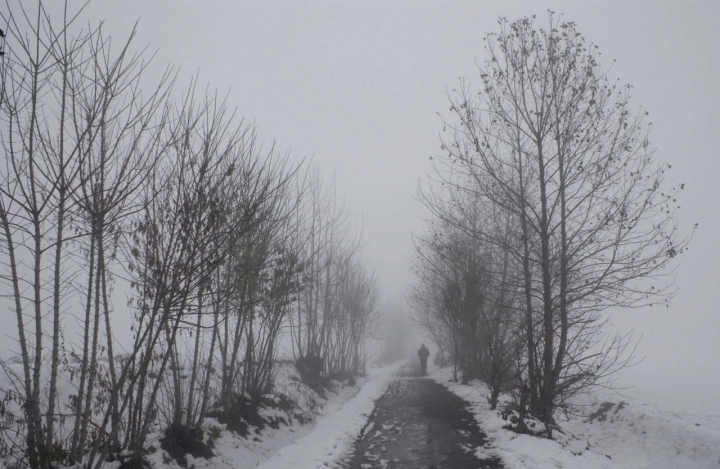 Perse nella nebbia di mariarosa-bc