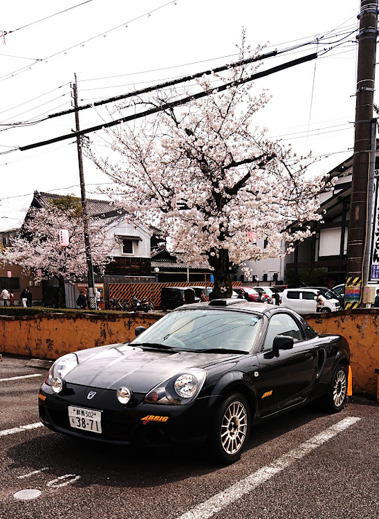 MR-Sのサクラと愛車に関するカスタム事例の投稿画像2枚目