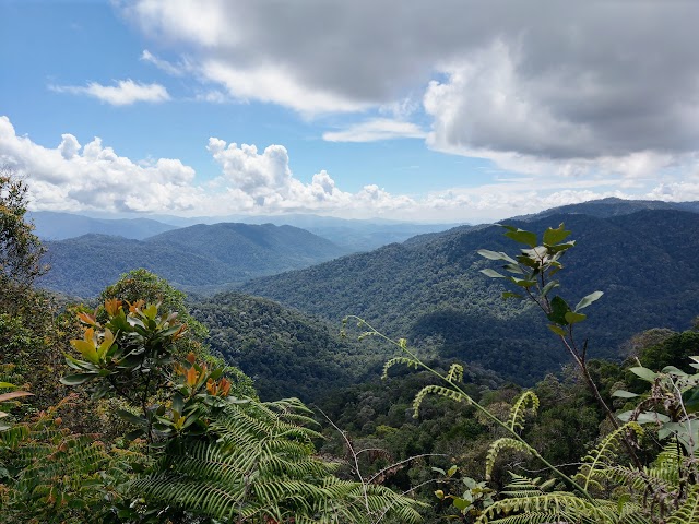 Gunung Angsi Peak