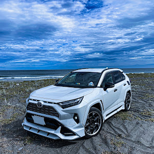 RAV4 AXAH54