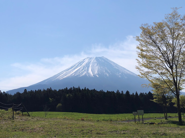 の投稿画像6枚目