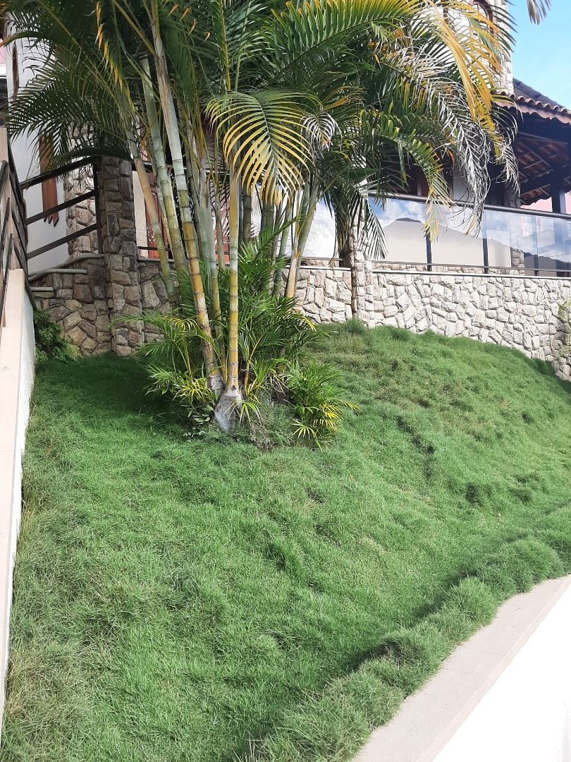 Casa à venda em Bela Vista, Nova Friburgo - RJ - Foto 8