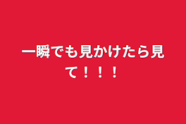 一瞬でも見かけたら見て！！！