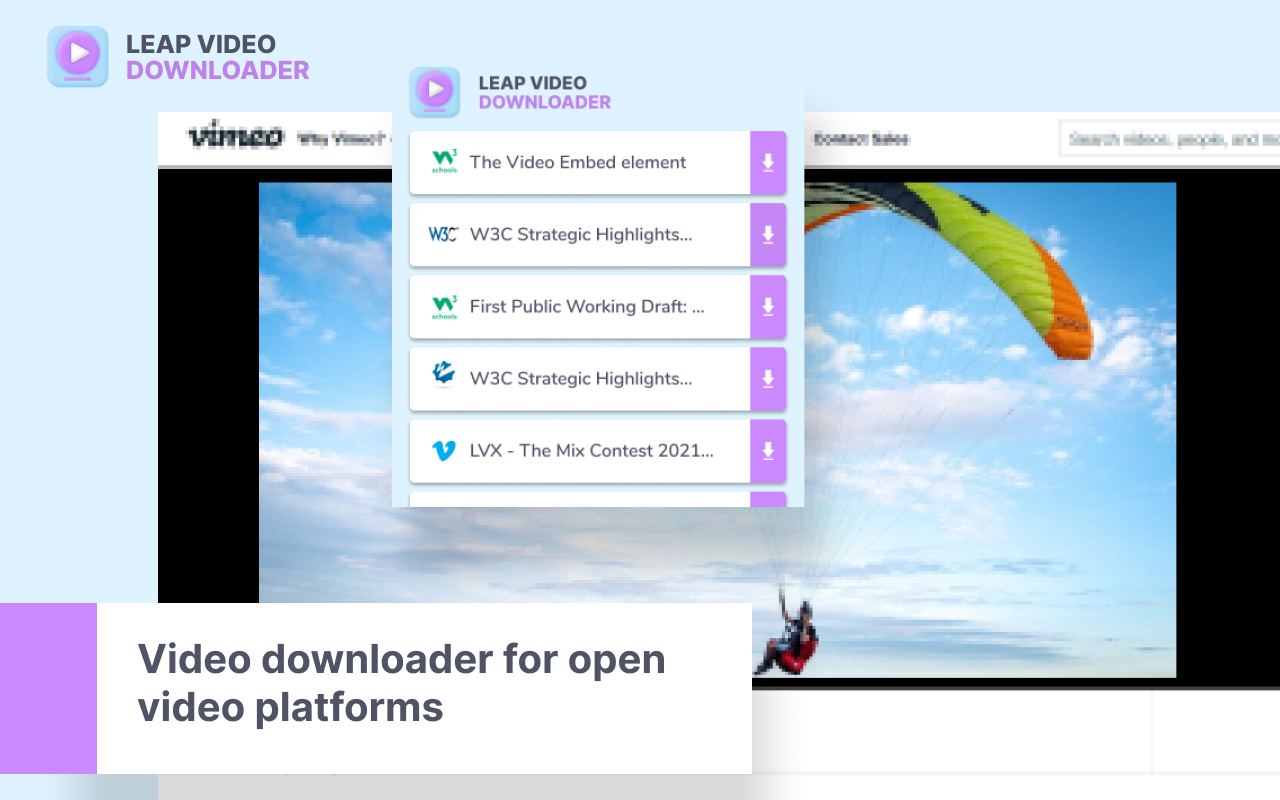 Leap Video Downloader Preview image 1