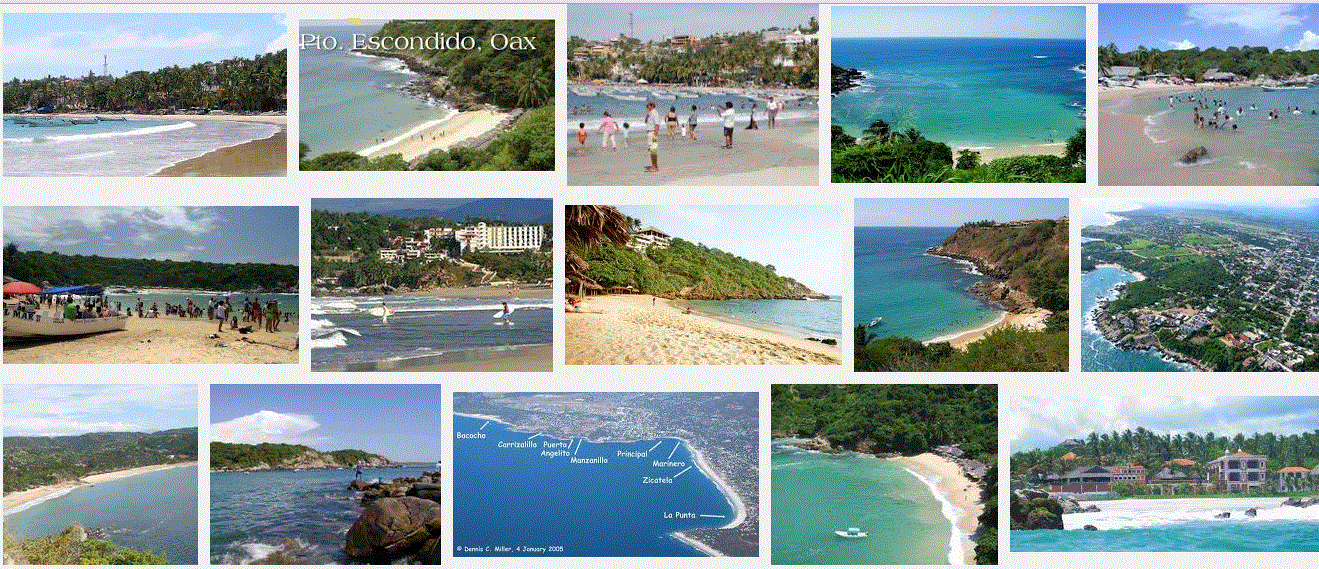 puertoescondido-collage.gif