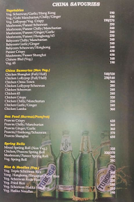 The Masala Family Restaurant menu 7