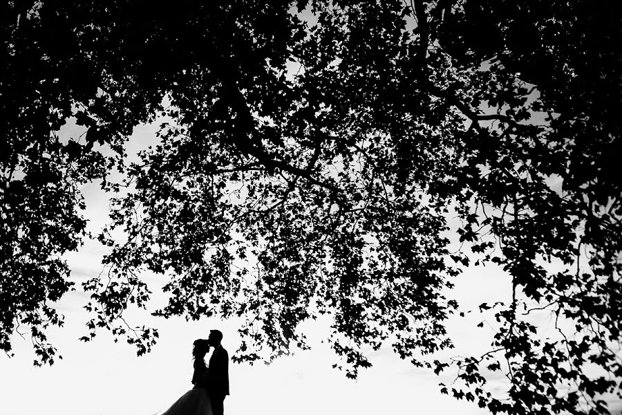 結婚式の写真家Nicola Del Mutolo (ndphoto)。2016 11月13日の写真