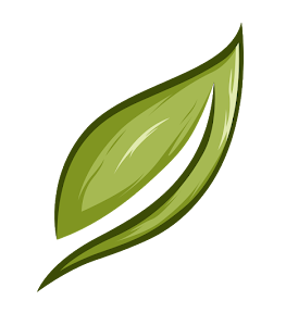 Express logo