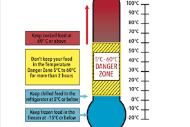 Image result for food safety thermometer transparent