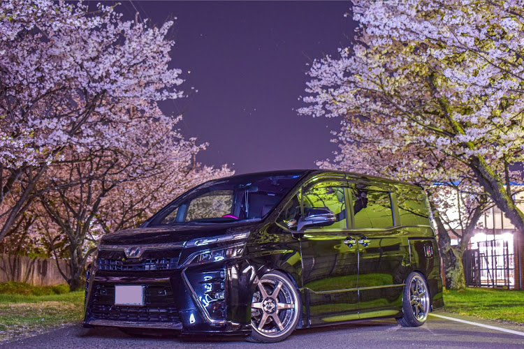 ヴォクシーの桜とコラボ🌸・workwheels・zeast st1・純ベタ風・夜桜に関するカスタム事例の投稿画像1枚目