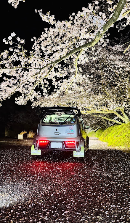 アルトワークスのサクラと愛車・桜とコラボ・桜コラボ・桜・夜桜撮影会に関するカスタム事例の投稿画像6枚目