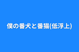 僕の番犬と番猫(低浮上)