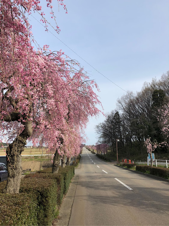 ゴルフGTIのむーさんが投稿したカスタム事例の投稿画像3枚目