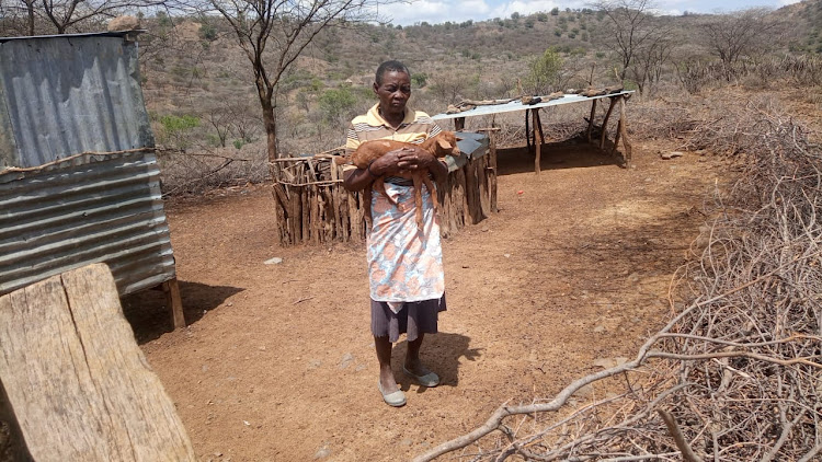 A woman holds her only remaining goat in Kagir, Baringo North on Saturday