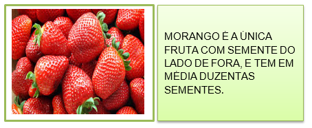 É CORRETO AFIRMAR QUE O MORANGO TEM EM MÉDIA QUANTAS SEMENTES?