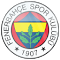 Item logo image for Fenerbahçe 1907 Theme