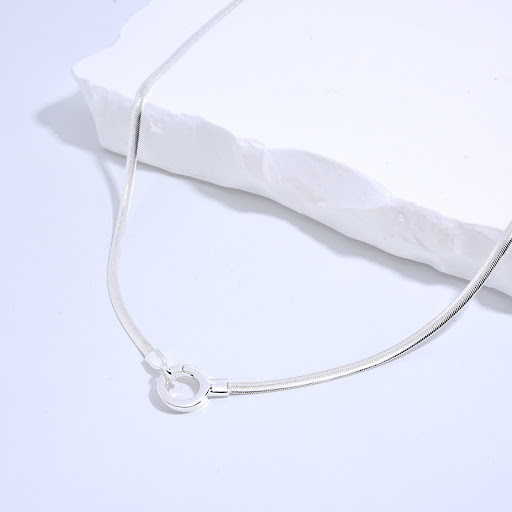 Title 5, Fashion Retro Thin Flat Snake Bone Necklace. A ...