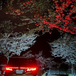 ヴェルファイア TAHA40W