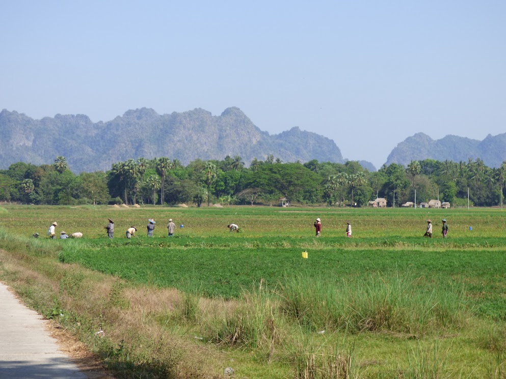 hpa an