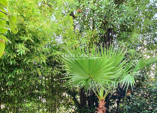 Maison contemporaine avec jardin 3