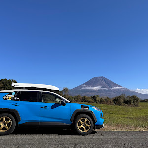 RAV4 MXAA54