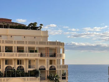 appartement à Monaco (98)