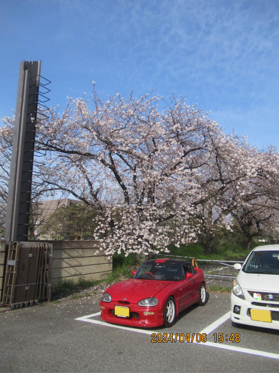 カプチーノのサクラと愛車・桜🌸コラボ撮影会・桜🌸スポット巡りに関するカスタム事例の投稿画像12枚目