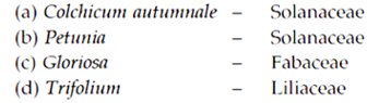 Taxonomic Description of some Important Families