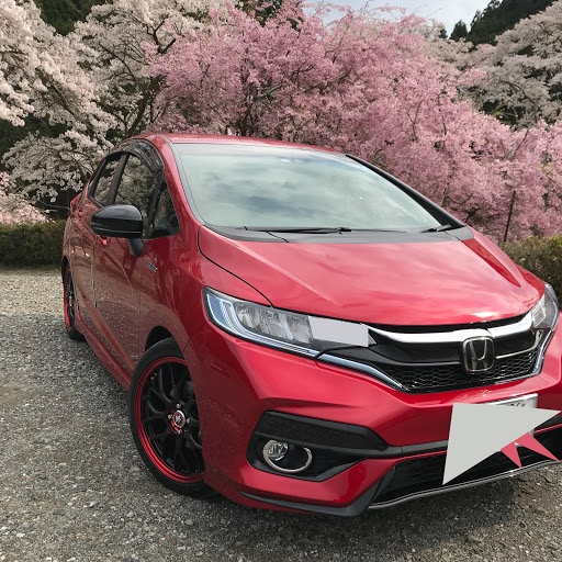 よしきのプロフィール画像