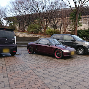 ビート PP1