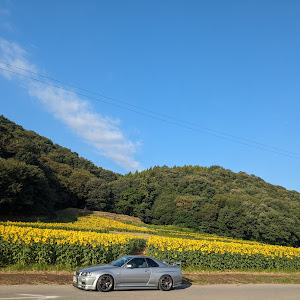 スカイライン GT-R BNR34