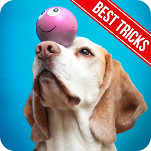 Download Dog Training For PC Windows and Mac