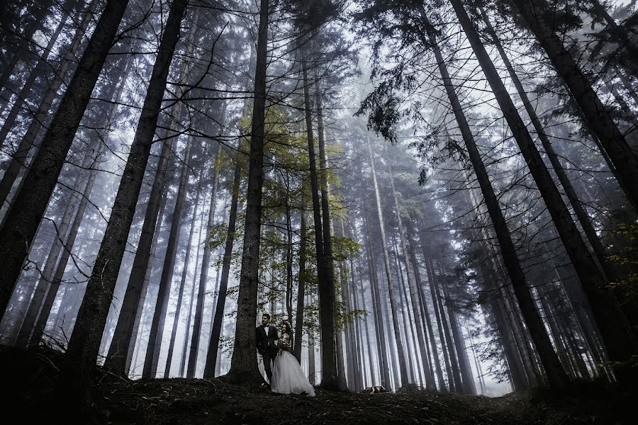 Kāzu fotogrāfs Paweł Kowalewski (kowalewski). Fotogrāfija: 11. oktobris 2018