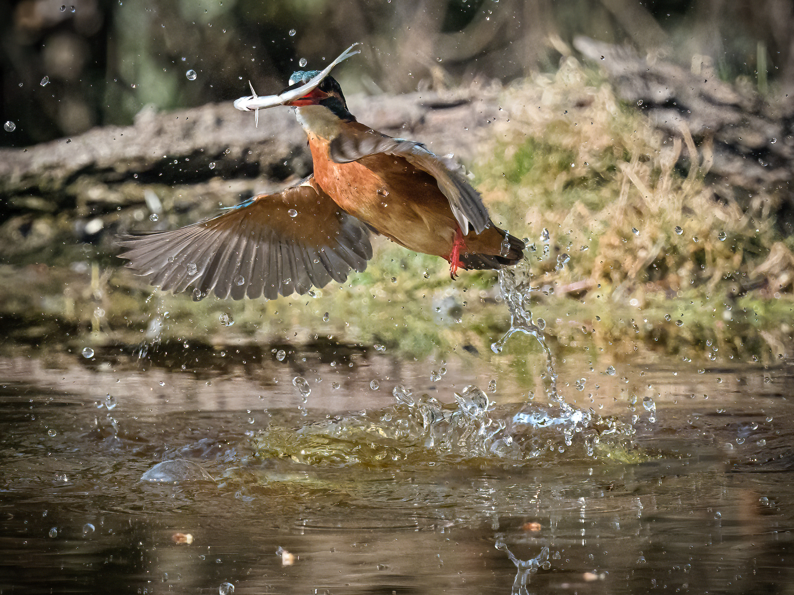 Buona pesca di Roby_C