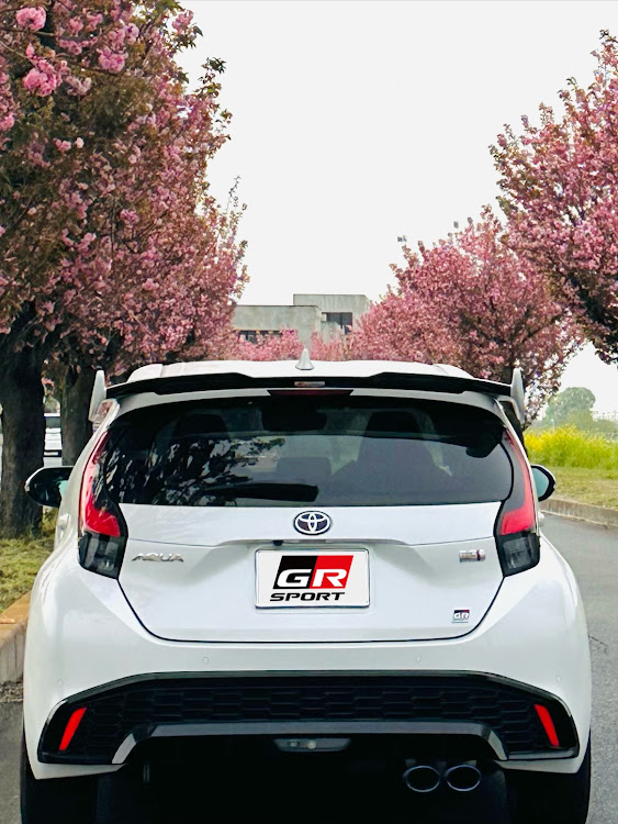 アクアの桜と愛車・桜とコラボ・八重桜・アリス米への道・代かきに関するカスタム事例の投稿画像15枚目