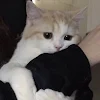 ユーザー
