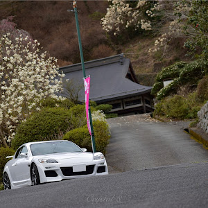 RX-8 SE3P