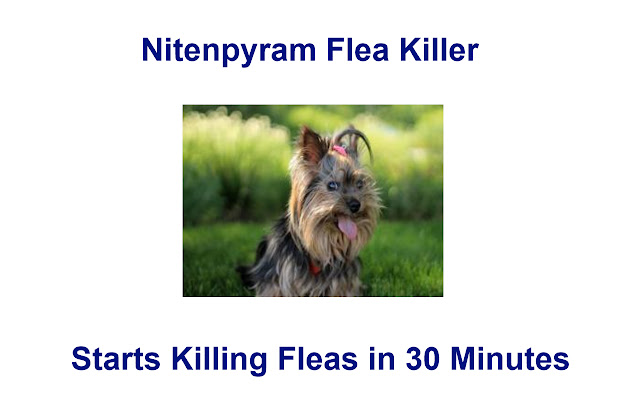 Nitenpyram Flea Killer chrome extension